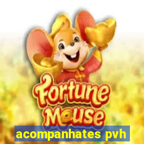 acompanhates pvh