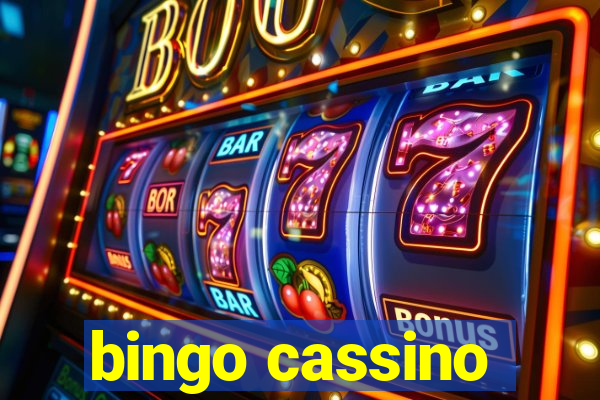 bingo cassino