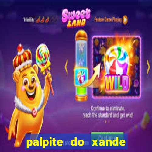 palpite do xande para hoje