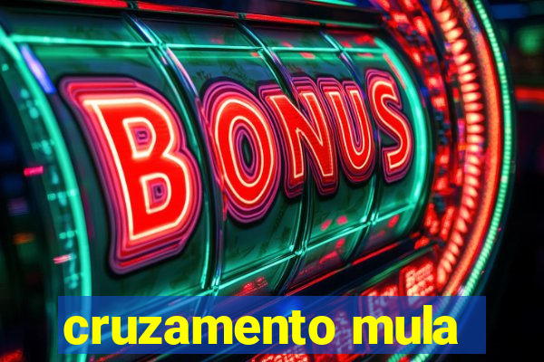 cruzamento mula