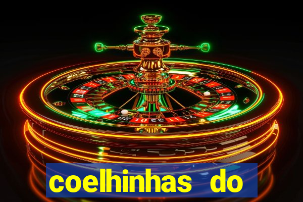 coelhinhas do brasil jp