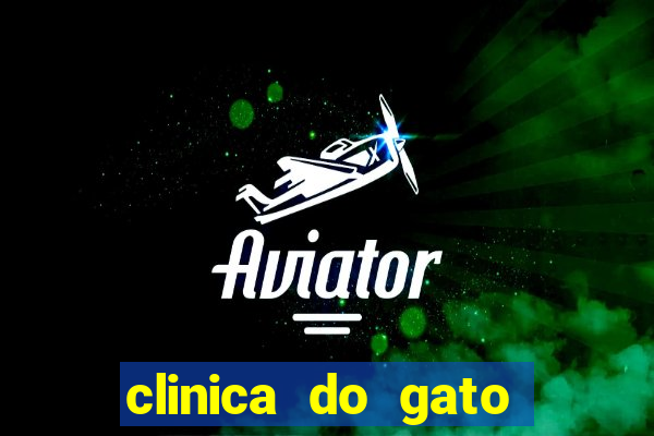 clinica do gato porto alegre