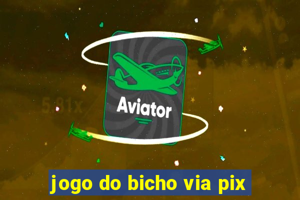 jogo do bicho via pix