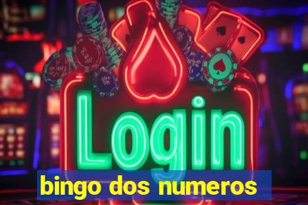 bingo dos numeros