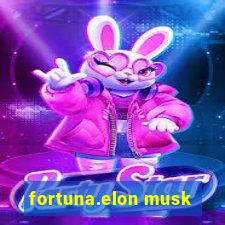 fortuna.elon musk