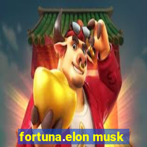 fortuna.elon musk