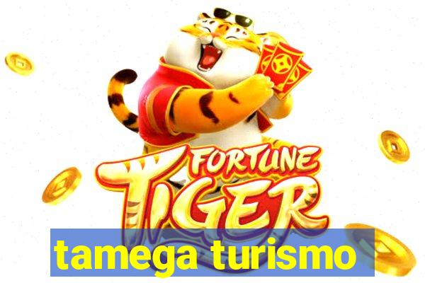 tamega turismo