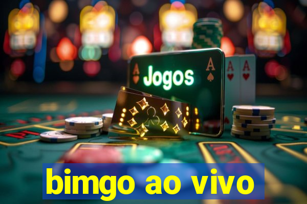 bimgo ao vivo