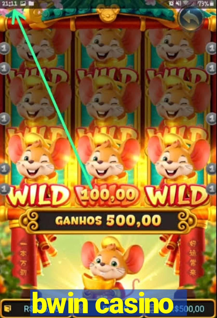 bwin casino