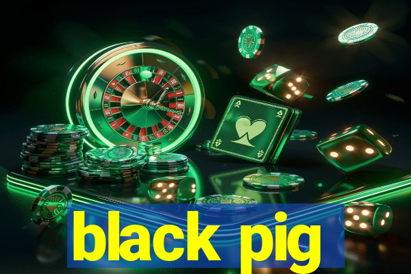 black pig