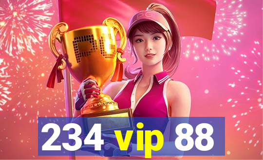 234 vip 88