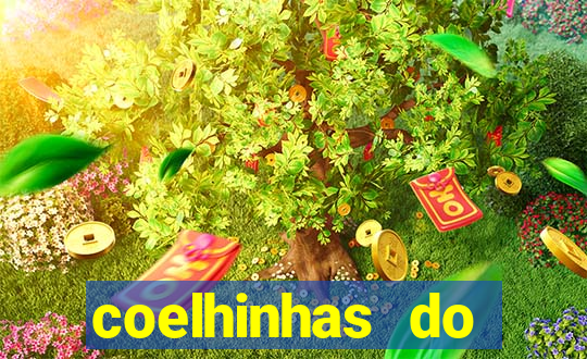 coelhinhas do brasil recife