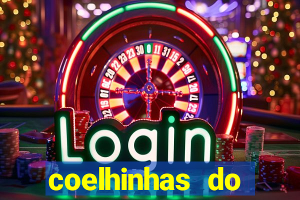 coelhinhas do brasil recife