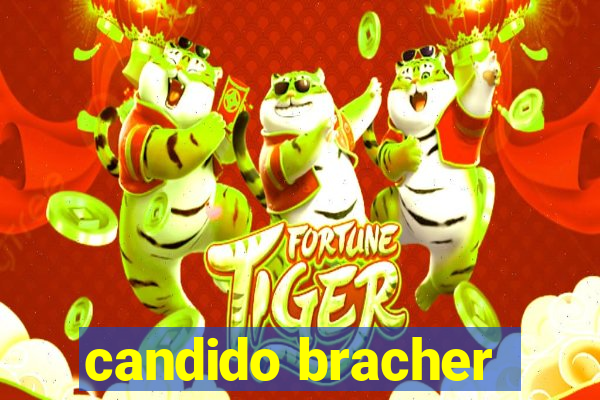 candido bracher