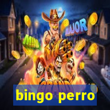 bingo perro