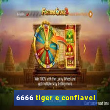 6666 tiger e confiavel