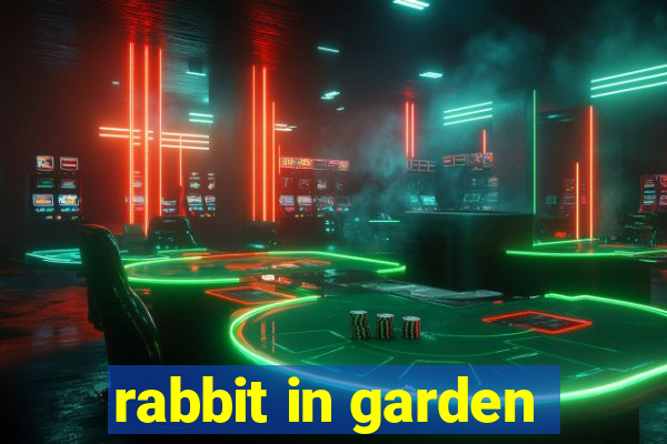 rabbit in garden