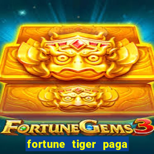 fortune tiger paga de madrugada