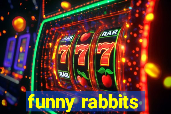 funny rabbits