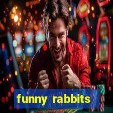 funny rabbits