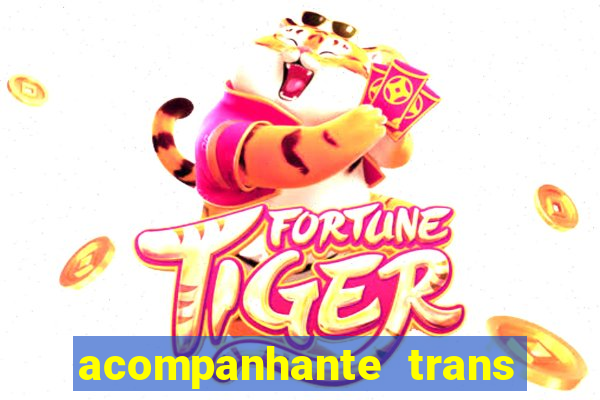 acompanhante trans em santos