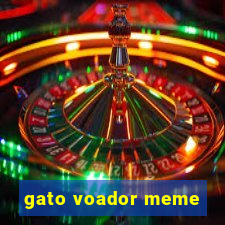 gato voador meme