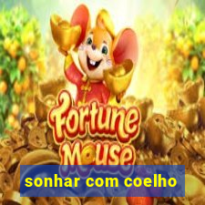 sonhar com coelho