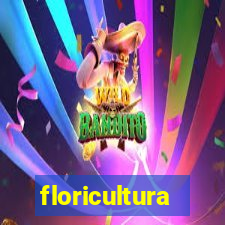 floricultura cruzeiro novo