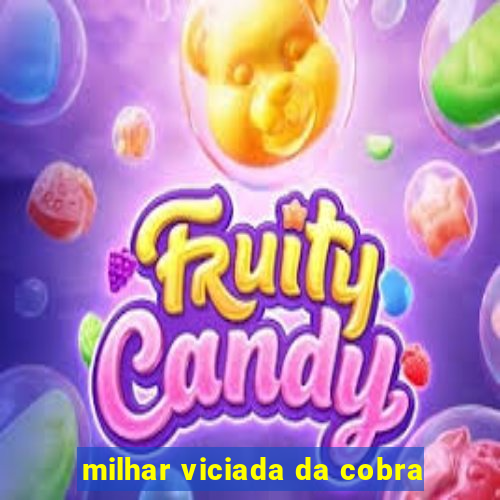 milhar viciada da cobra