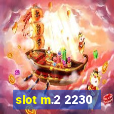 slot m.2 2230