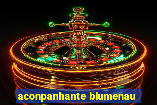 aconpanhante blumenau