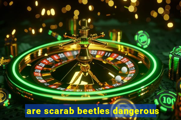 are scarab beetles dangerous