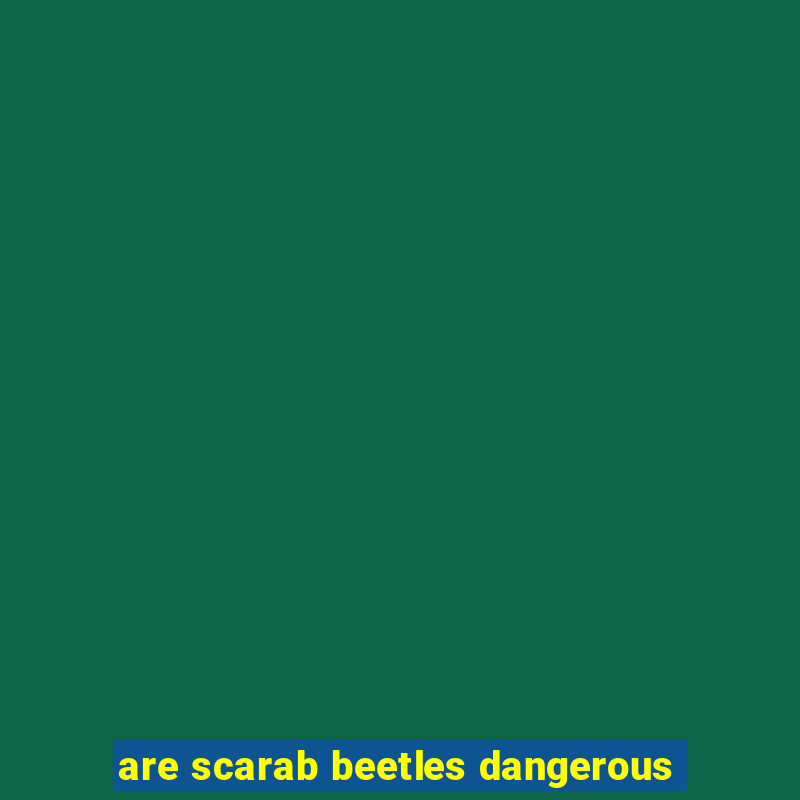 are scarab beetles dangerous