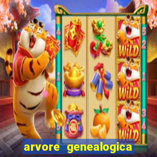 arvore genealogica dos gracie