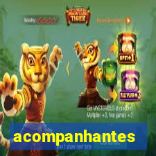 acompanhantes chamada de video