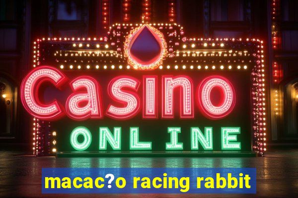 macac?o racing rabbit