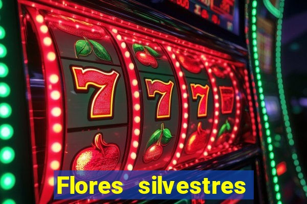 Flores silvestres brasileiras 25