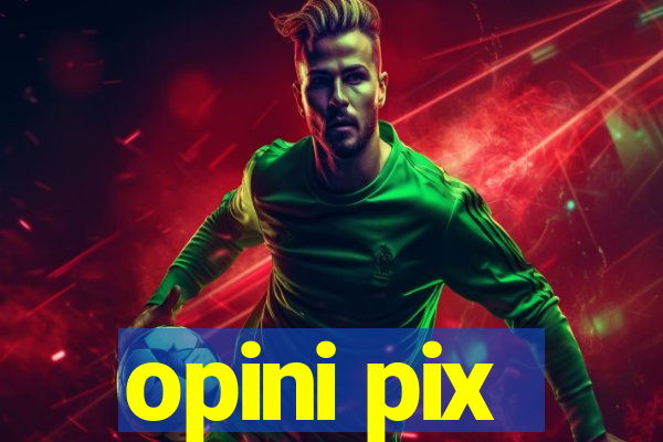 opini pix