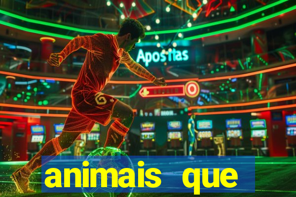 animais que produzem l茫