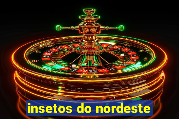 insetos do nordeste