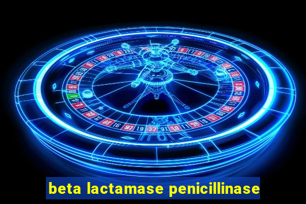 beta lactamase penicillinase