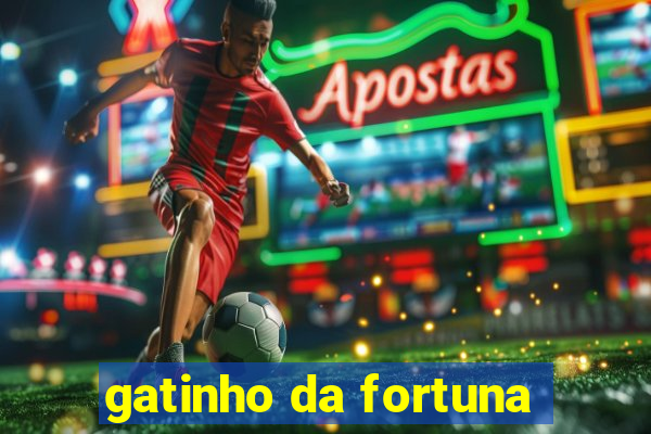 gatinho da fortuna