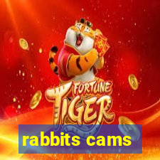 rabbits cams