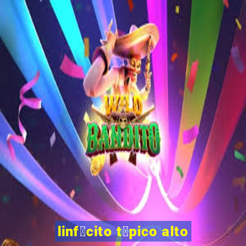 linf贸cito t铆pico alto