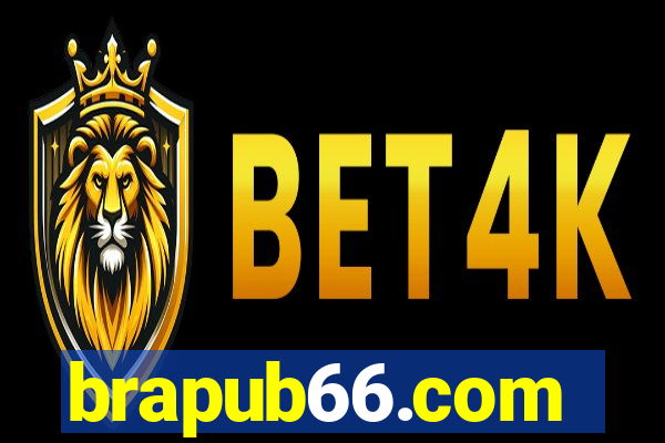 brapub66.com