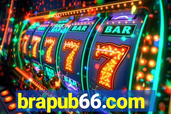 brapub66.com