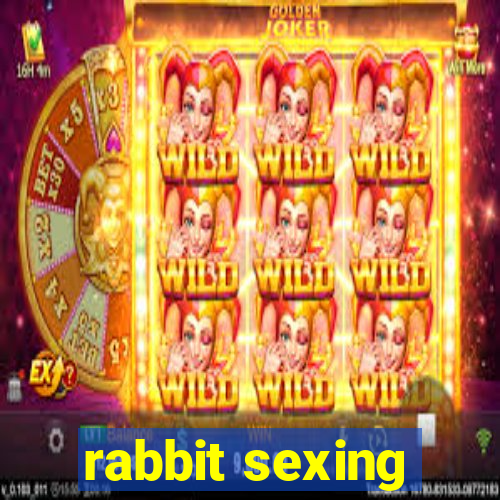 rabbit sexing