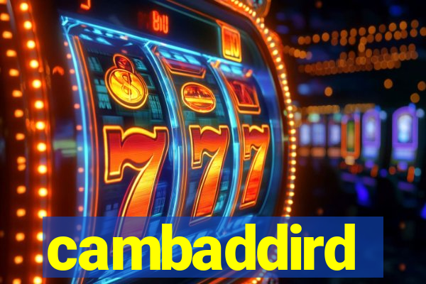 cambaddird