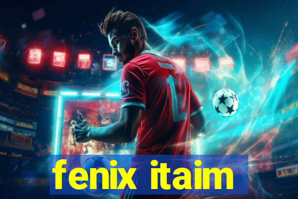 fenix itaim