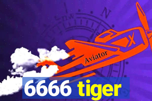 6666 tiger